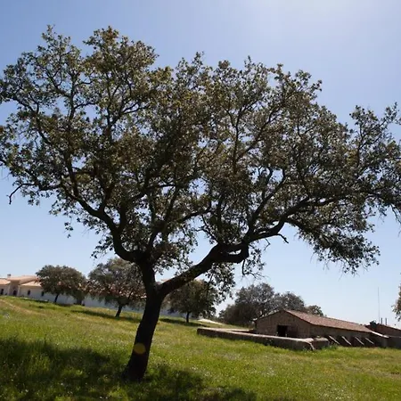 Tatil Evi Cortijo Lomillos - La Encina