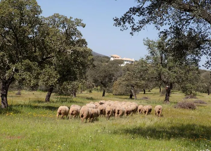 Дом отдыха Cortijo Lomillos - La Encina *