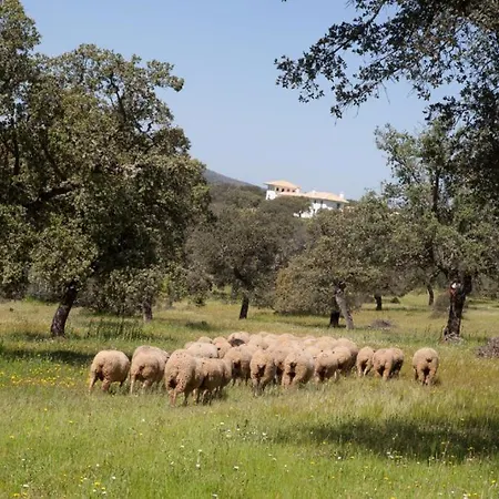 Prázdninový dům Cortijo Lomillos - La Encina *