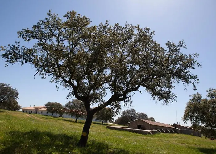 Prázdninový dům Cortijo Lomillos - La Encina
